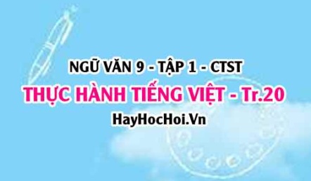 Soạn bài Thực hành Tiếng Việt trang 20 Ngữ văn lớp 9 tập 1 Chân trời sáng tạo